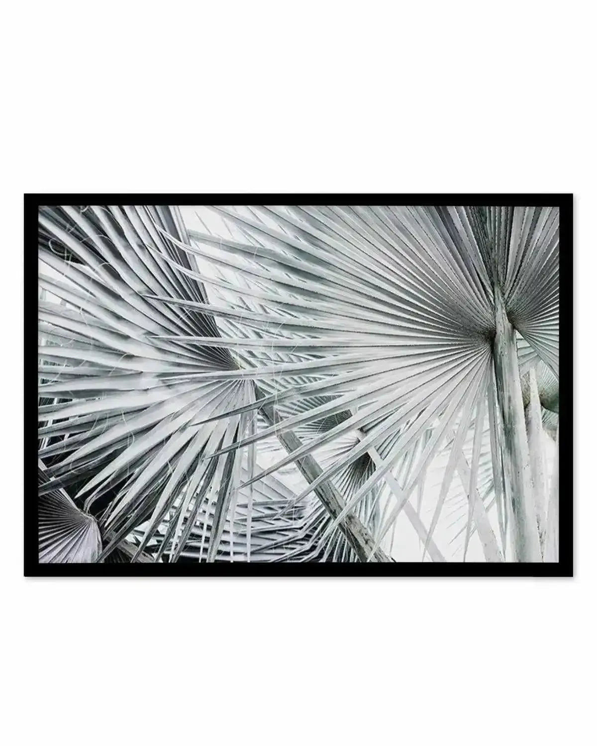 Palmier | LS Art Print from Olive et Oriel where you can shop wallpaper and artworks online