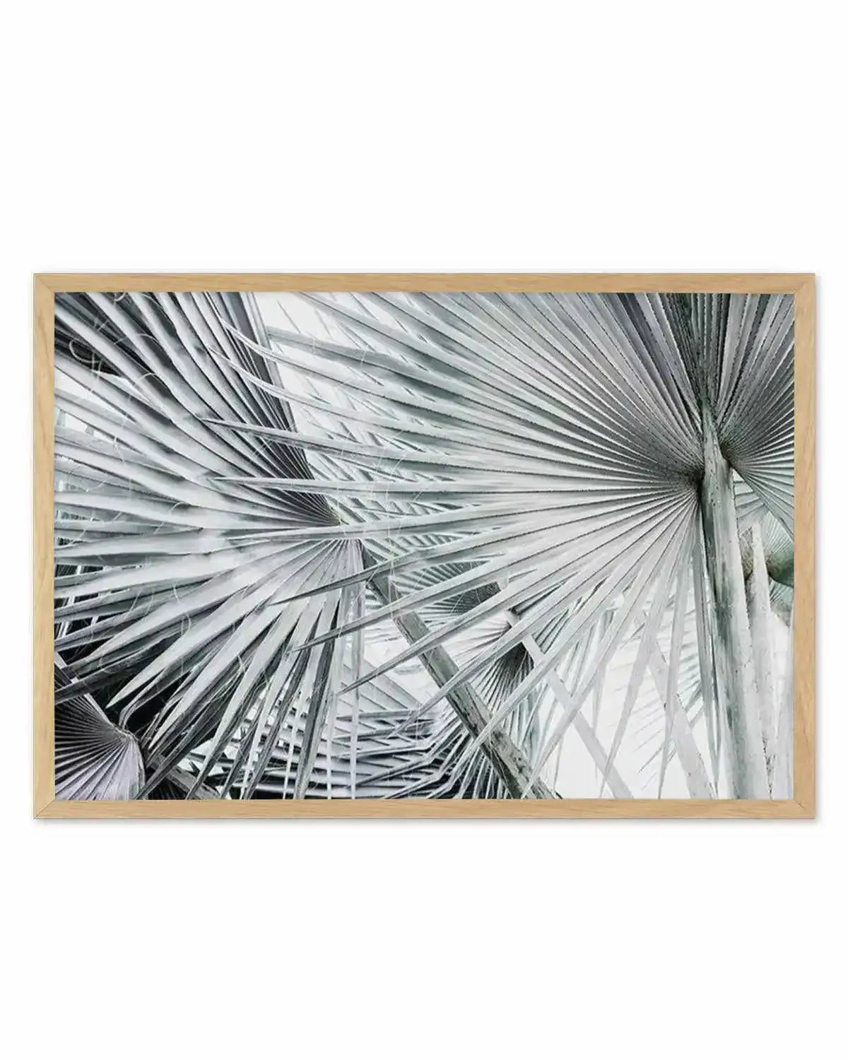 Palmier | LS Art Print from Olive et Oriel where you can shop wallpaper and artworks online