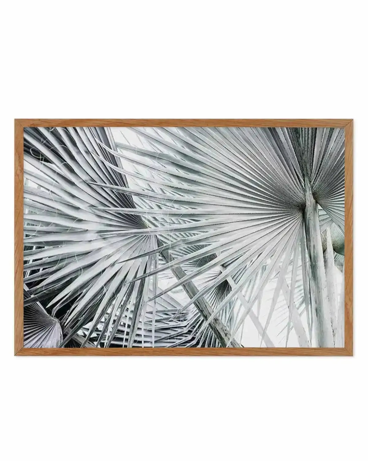 Palmier | LS Art Print from Olive et Oriel where you can shop wallpaper and artworks online