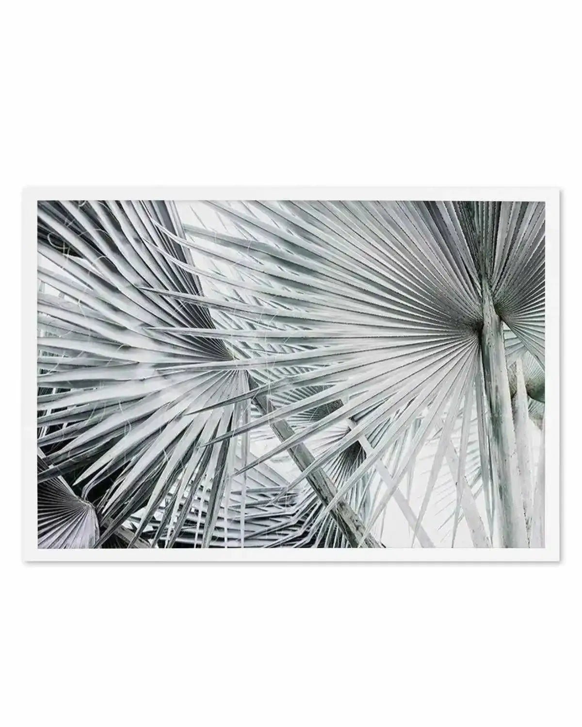 Palmier | LS Art Print from Olive et Oriel where you can shop wallpaper and artworks online