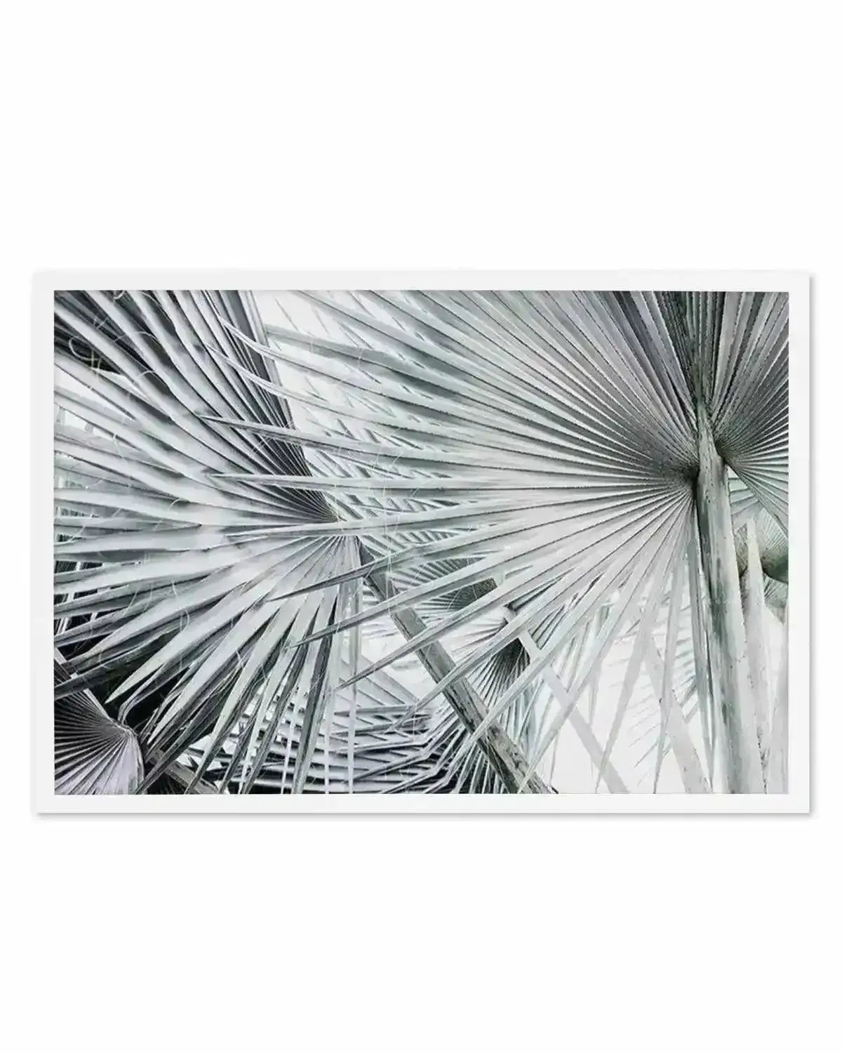 Premium palmier-ls from Olive et Oriel