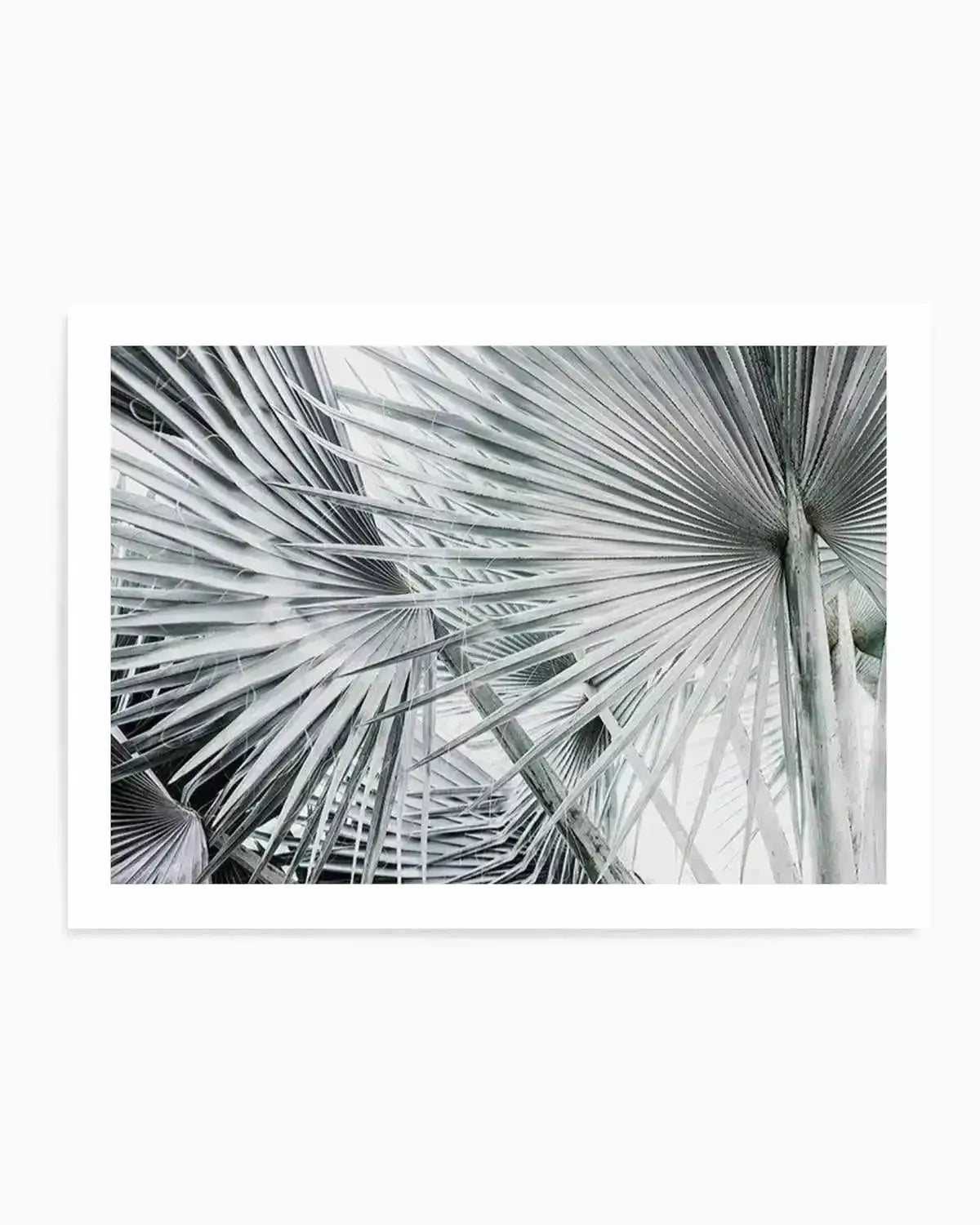 Palmier | LS Art Print from Olive et Oriel where you can shop wallpaper and artworks online