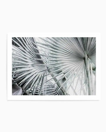 Premium palmier-ls from Olive et Oriel