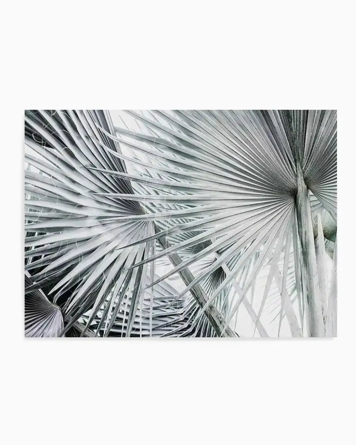 Palmier | LS Art Print from Olive et Oriel where you can shop wallpaper and artworks online