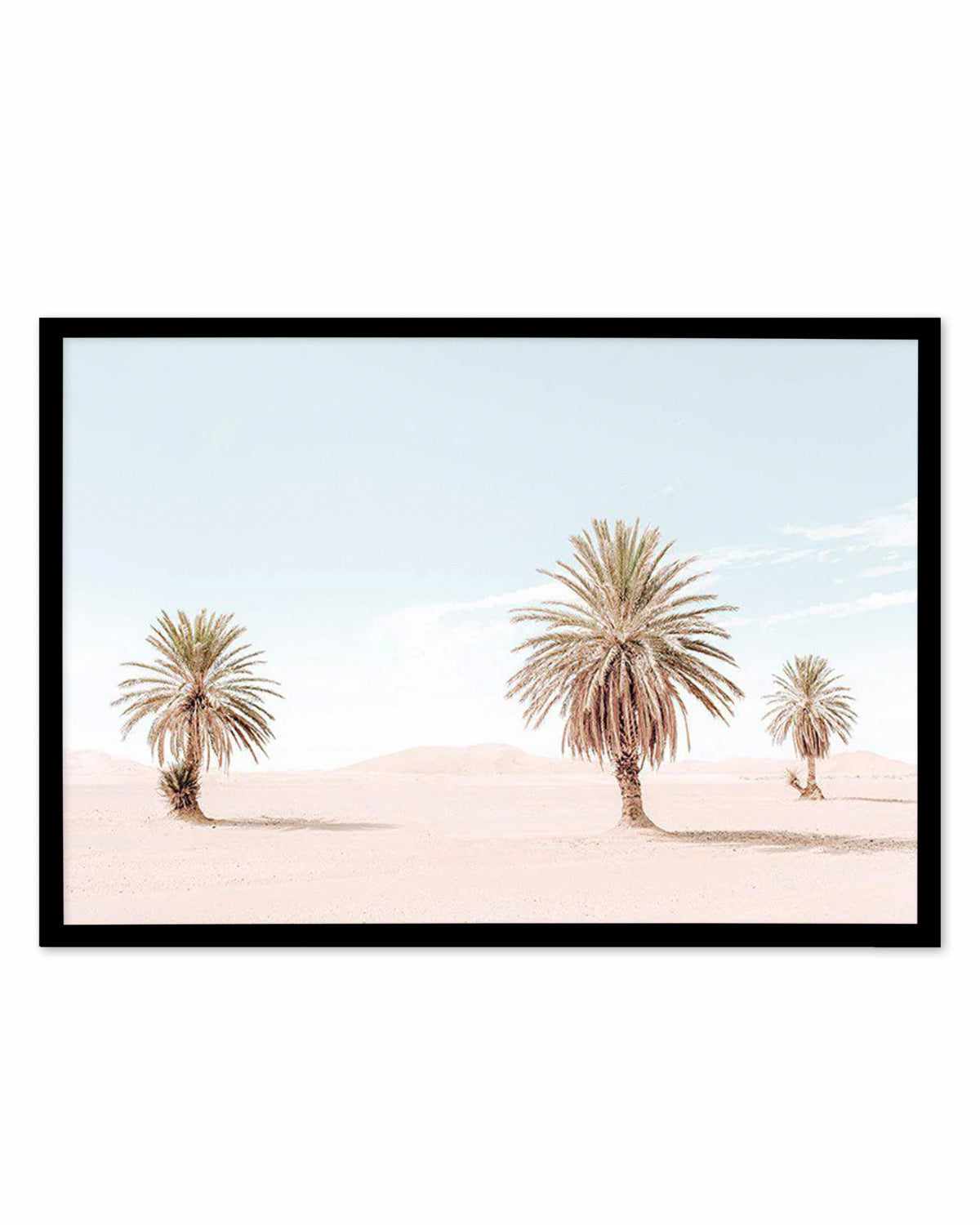 Palms Of Morocco Art Print