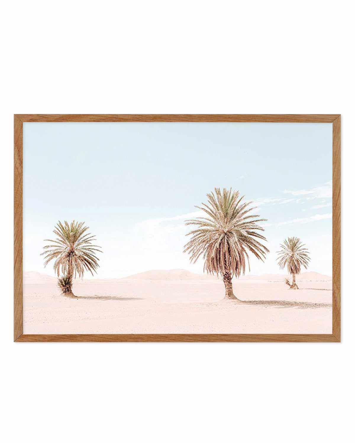 Palms Of Morocco Art Print