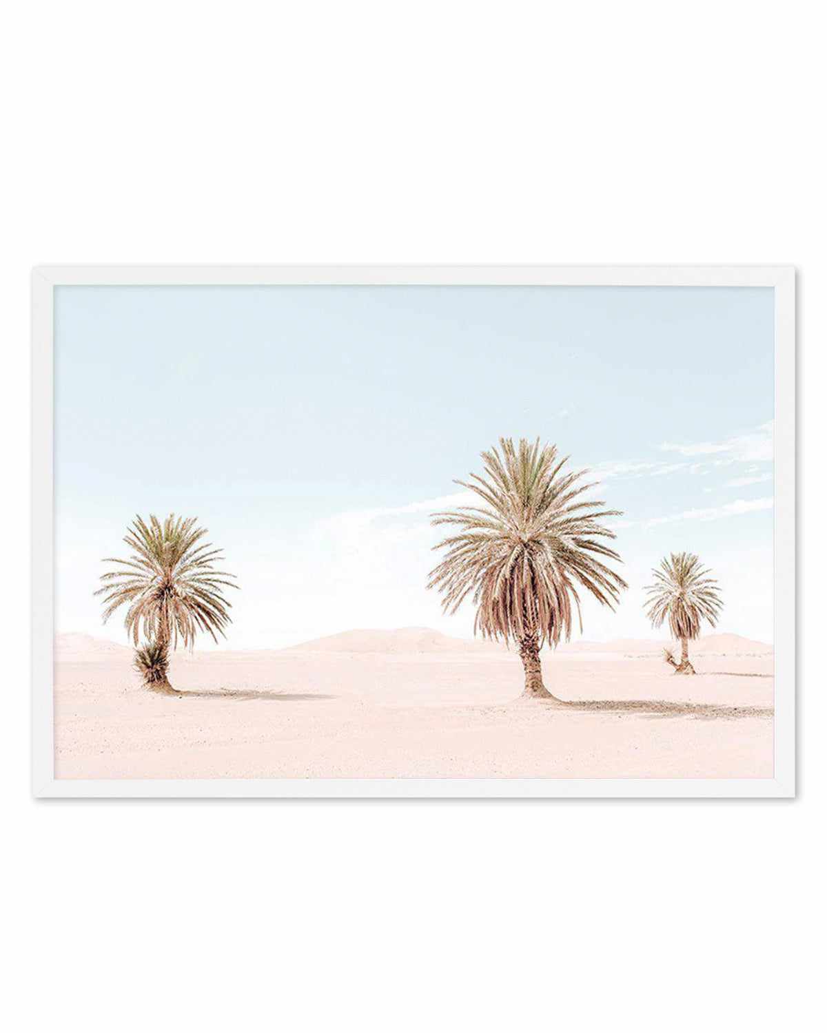 Palms Of Morocco Art Print