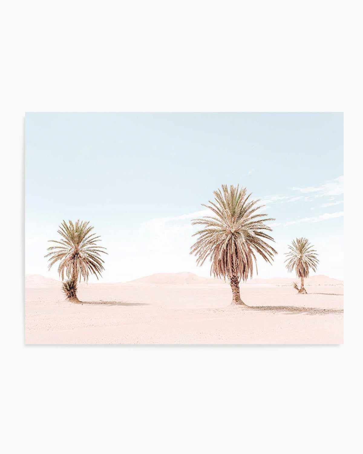 Palms Of Morocco Art Print