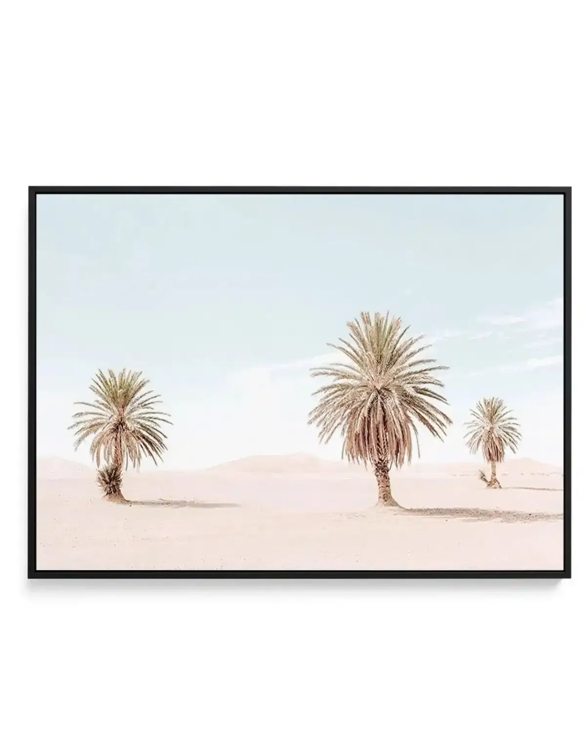 Palms Of Morocco | Framed Canvas-Shop Australian Art Prints Online with Olive et Oriel - Our collection of Moroccan art prints offer unique wall art including moroccan arches and pink morocco doors of marrakech - this collection will add soft feminine colour to your walls and some may say bohemian style. These traditional morocco landscape photography includes desert scenes of palm trees and camel art prints - there is art on canvas and extra large wall art with fast, free shipping across Austra
