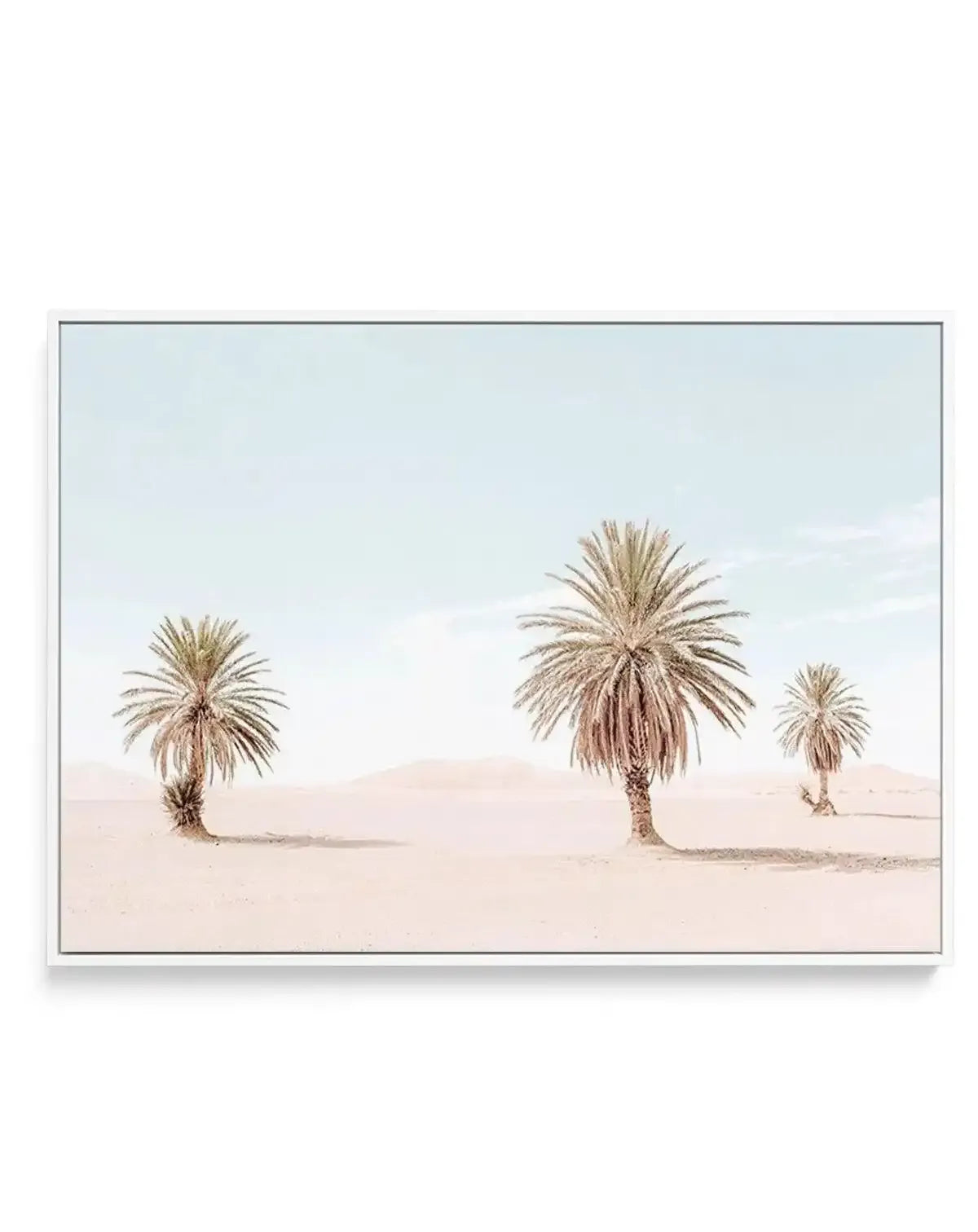 Palms Of Morocco | Framed Canvas-Shop Australian Art Prints Online with Olive et Oriel - Our collection of Moroccan art prints offer unique wall art including moroccan arches and pink morocco doors of marrakech - this collection will add soft feminine colour to your walls and some may say bohemian style. These traditional morocco landscape photography includes desert scenes of palm trees and camel art prints - there is art on canvas and extra large wall art with fast, free shipping across Austra