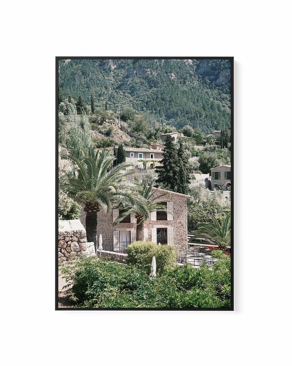Palms in Italy by Renee Rae | Framed Canvas Art Print from Olive et Oriel where you can shop wallpaper and artworks online