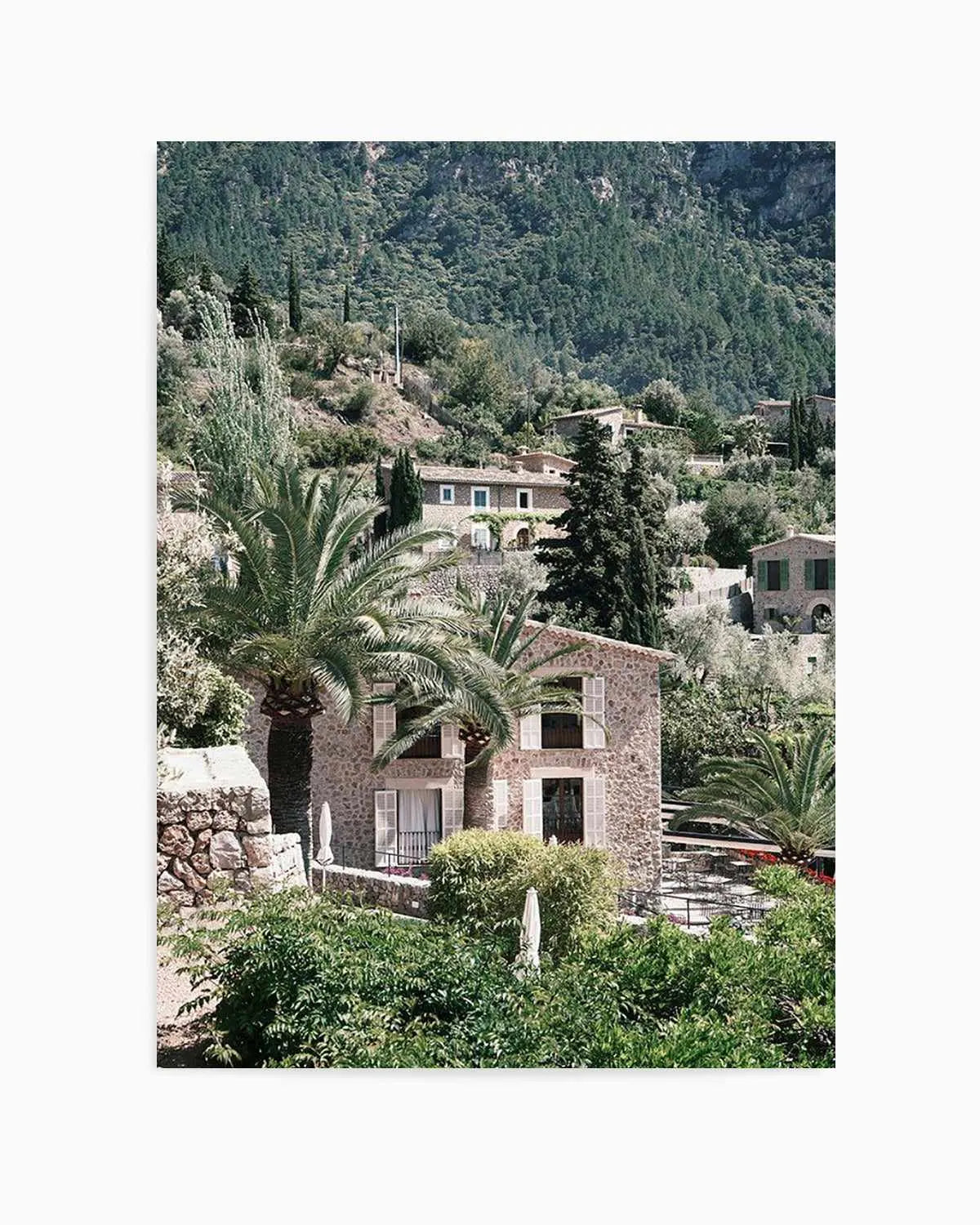 Palms in Italy by Renee Rae Art Print from Olive et Oriel where you can shop wallpaper and artworks online