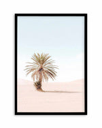 Palms of Morocco I Art Print