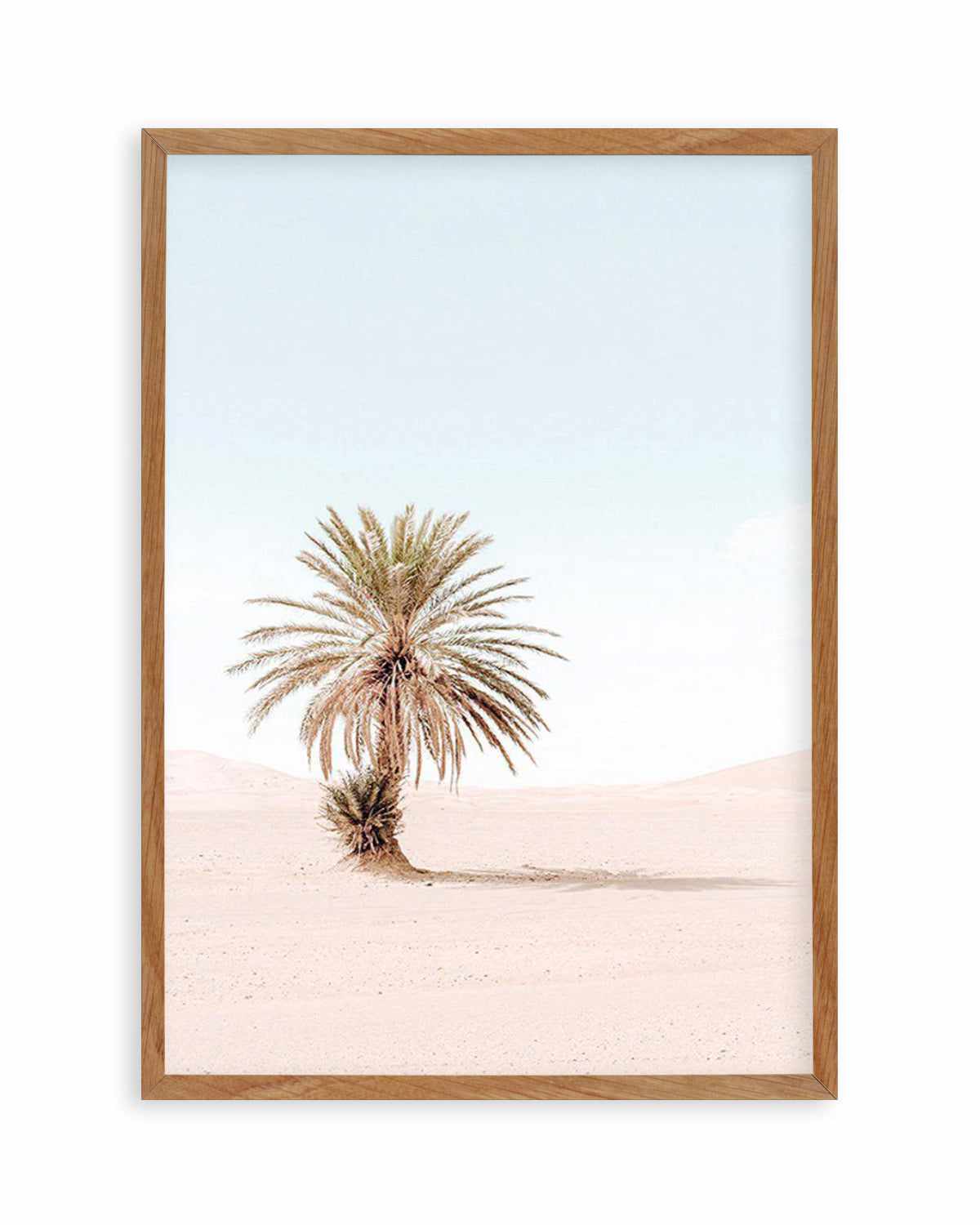 Palms of Morocco I Art Print