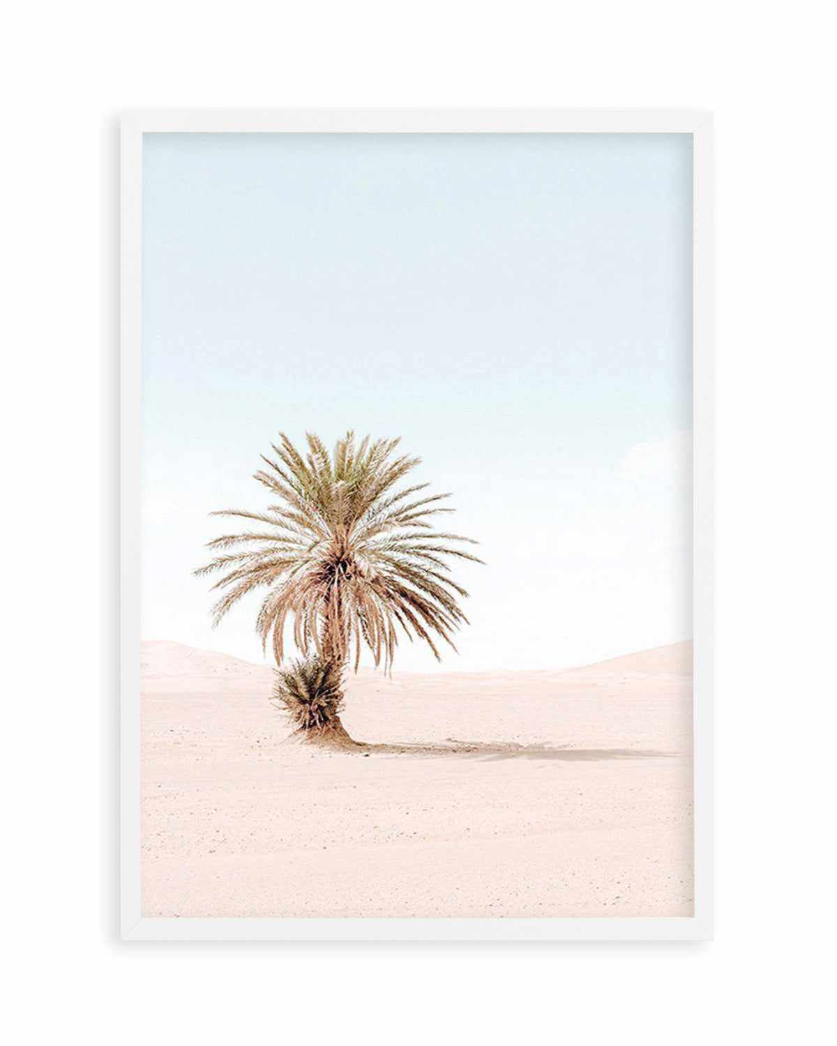 Palms of Morocco I Art Print