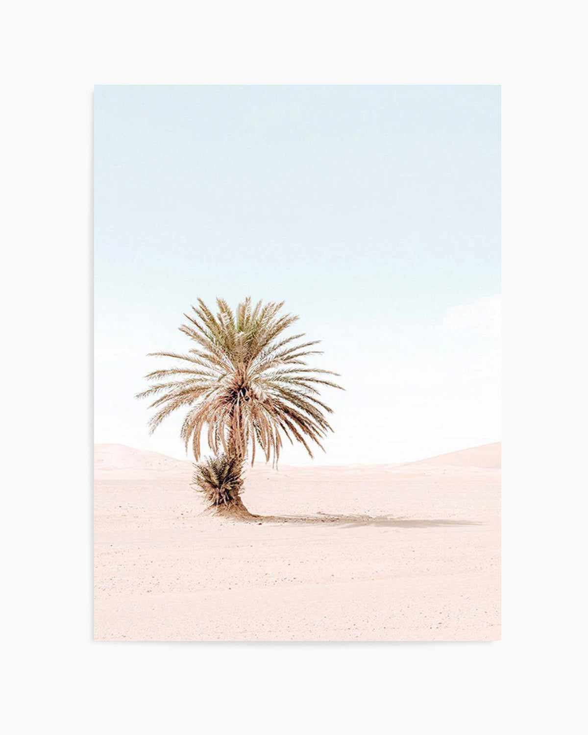 Palms of Morocco I Art Print