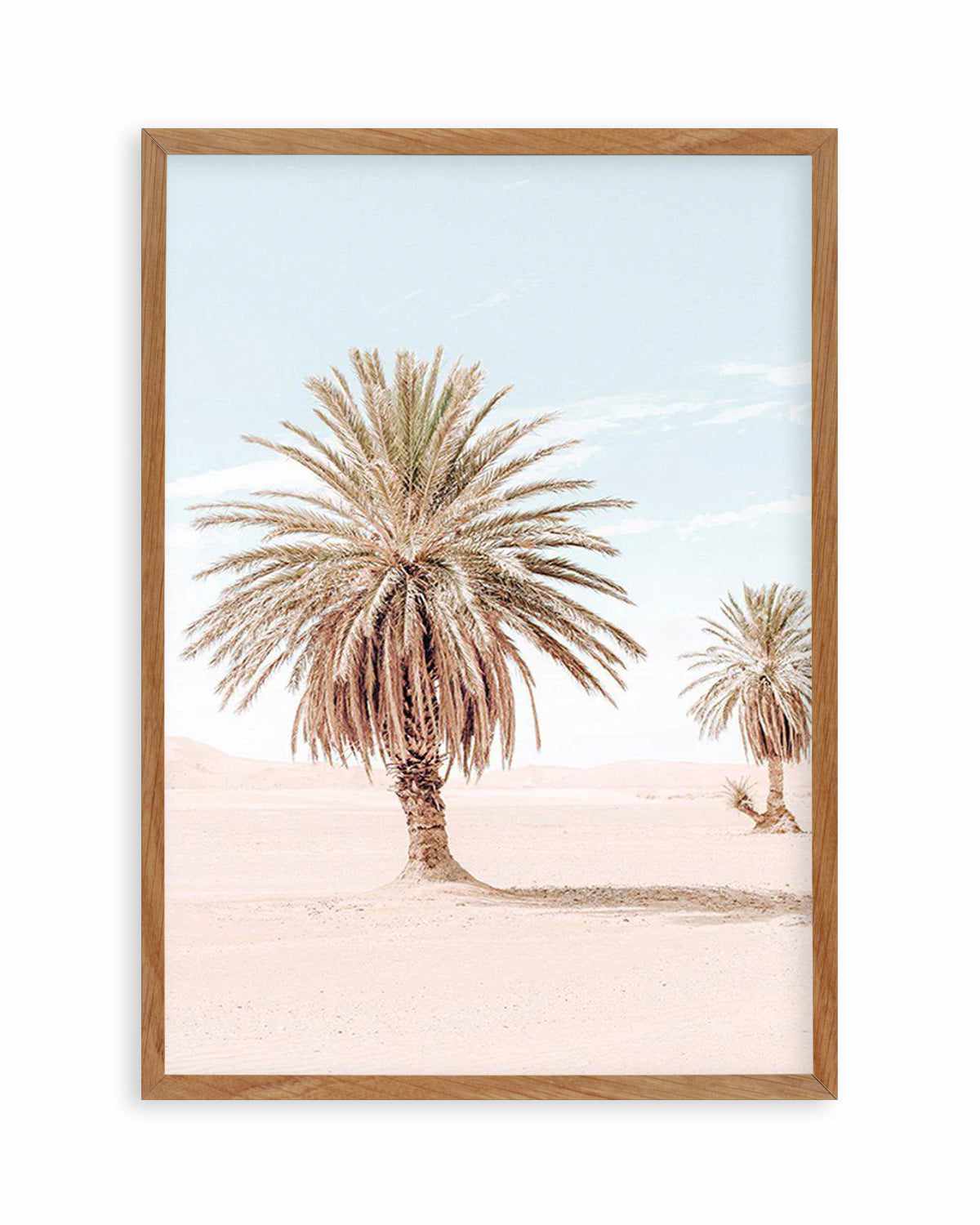 Palms of Morocco II Art Print