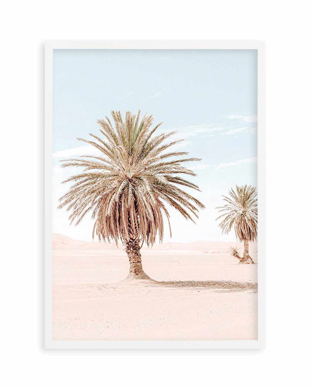 Palms of Morocco II Art Print