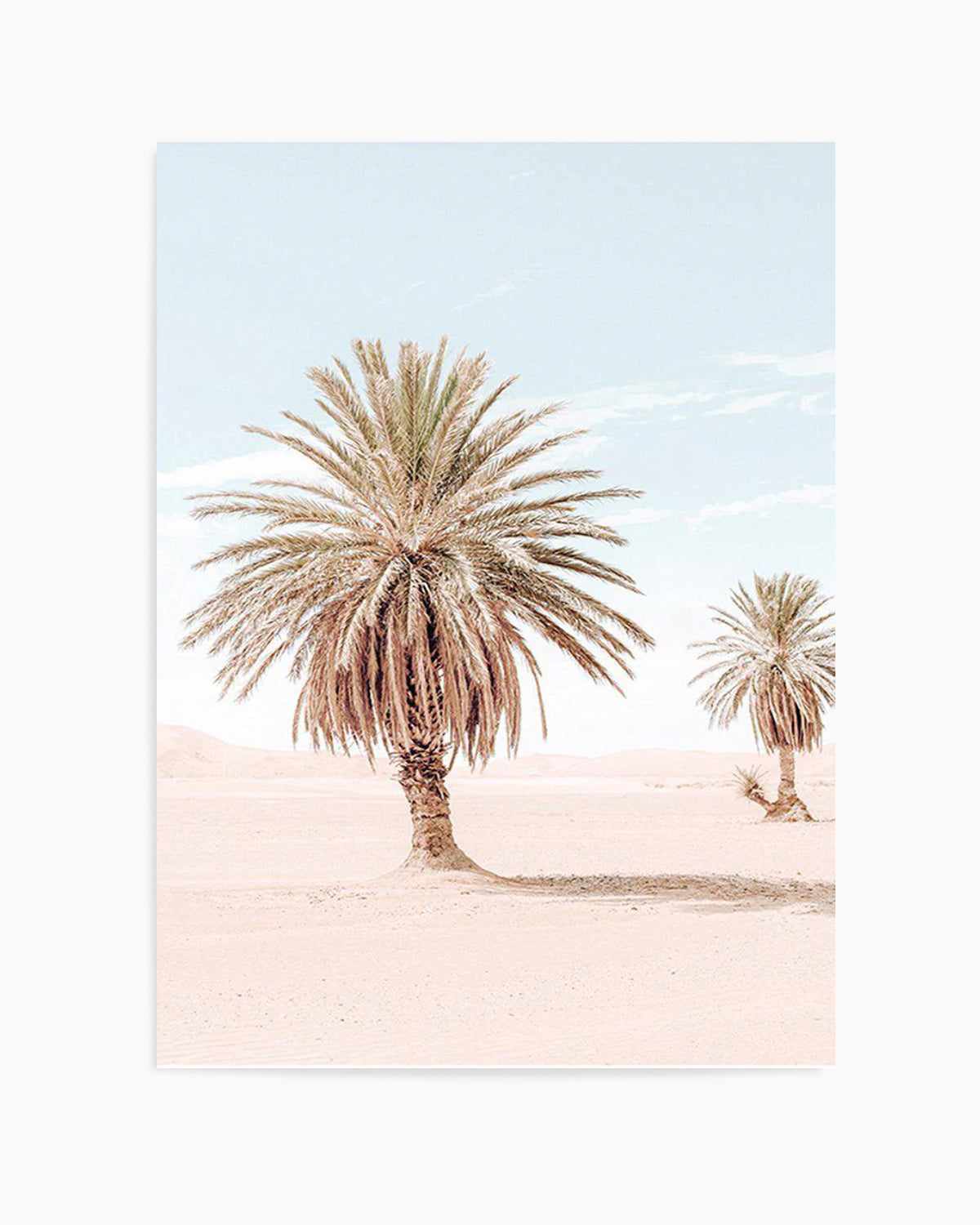 Palms of Morocco II Art Print