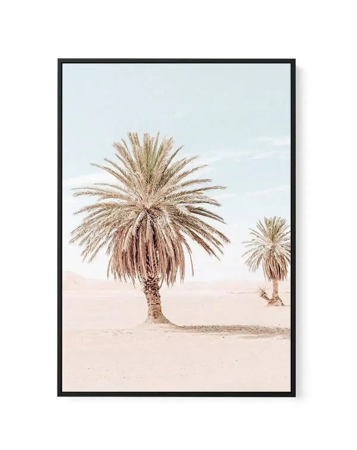 Palms of Morocco II | Framed Canvas-Shop Australian Art Prints Online with Olive et Oriel - Our collection of Moroccan art prints offer unique wall art including moroccan arches and pink morocco doors of marrakech - this collection will add soft feminine colour to your walls and some may say bohemian style. These traditional morocco landscape photography includes desert scenes of palm trees and camel art prints - there is art on canvas and extra large wall art with fast, free shipping across Aus