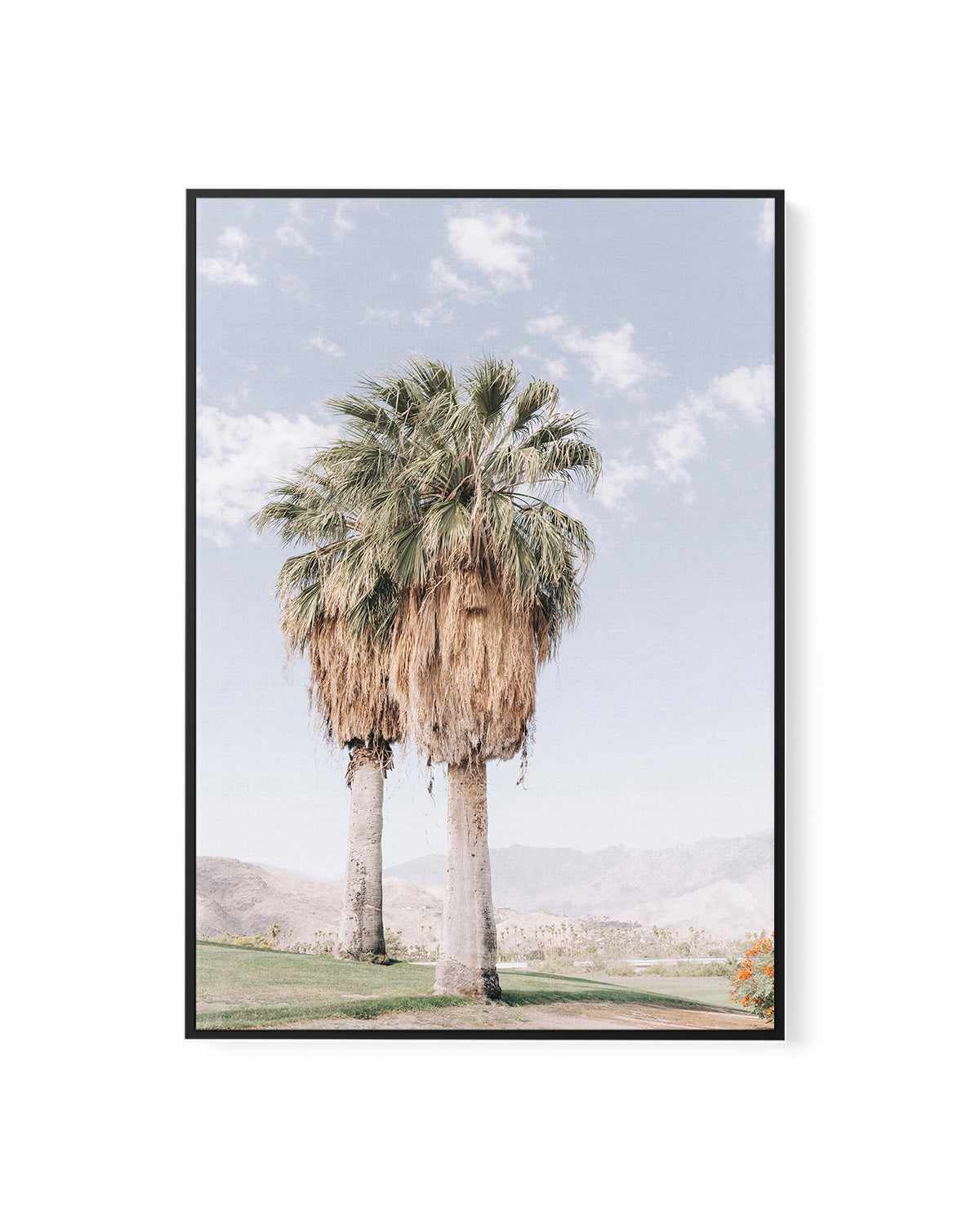 Palms of Palm Springs I | Framed Canvas Art Print