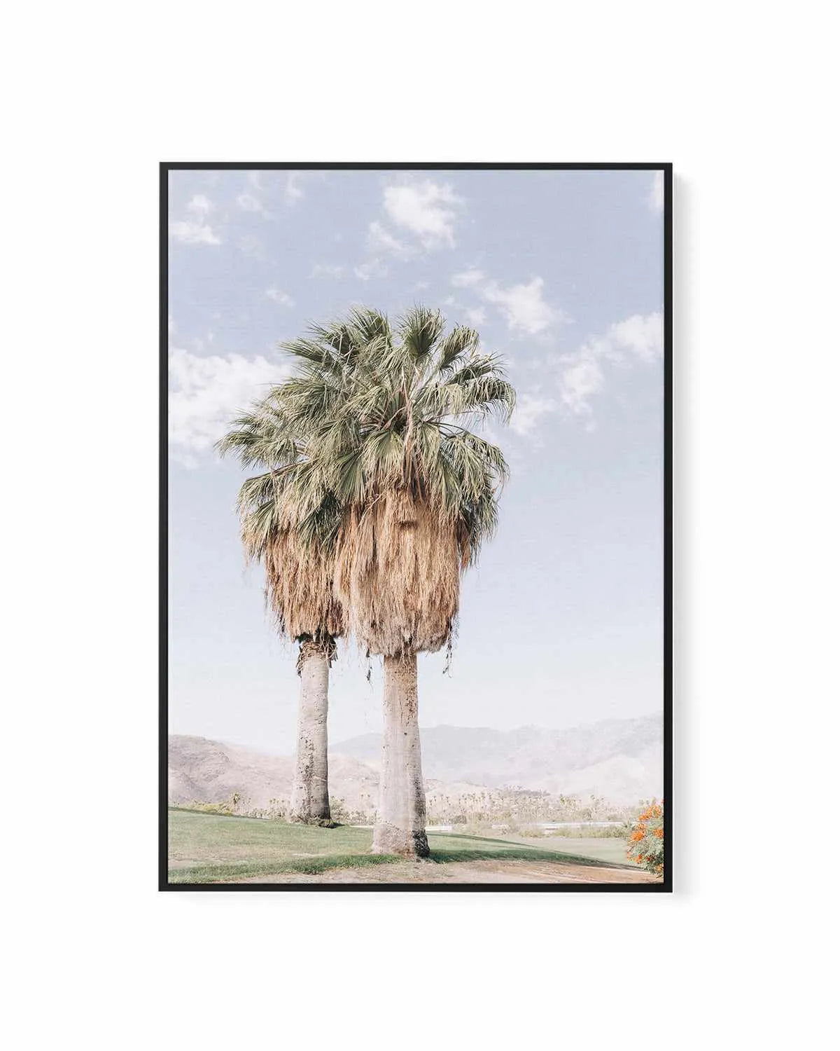 Palms of Palm Springs I | Framed Canvas Art Print from Olive et Oriel where you can shop wallpaper and artworks online