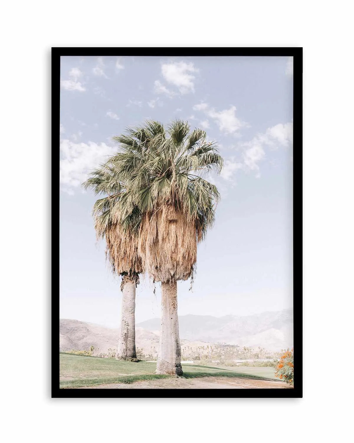 Palms of Palm Springs I Art Print from Olive et Oriel where you can shop wallpaper and artworks online