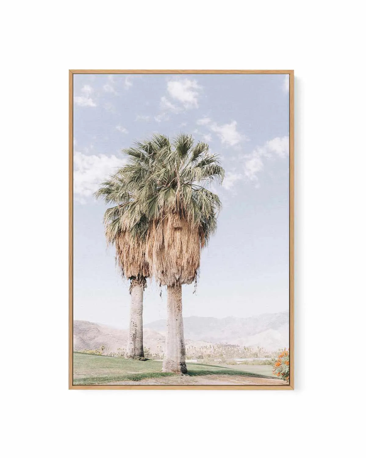 Palms of Palm Springs I | Framed Canvas Art Print from Olive et Oriel where you can shop wallpaper and artworks online