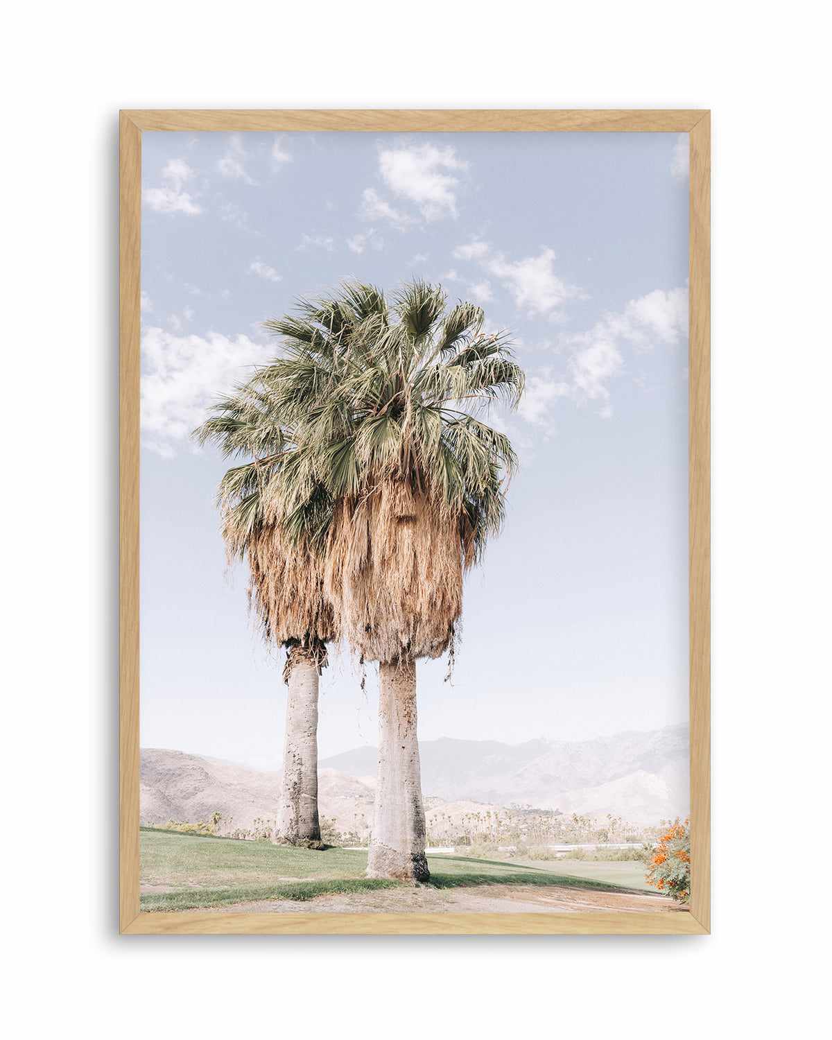 Palms of Palm Springs I Art Print