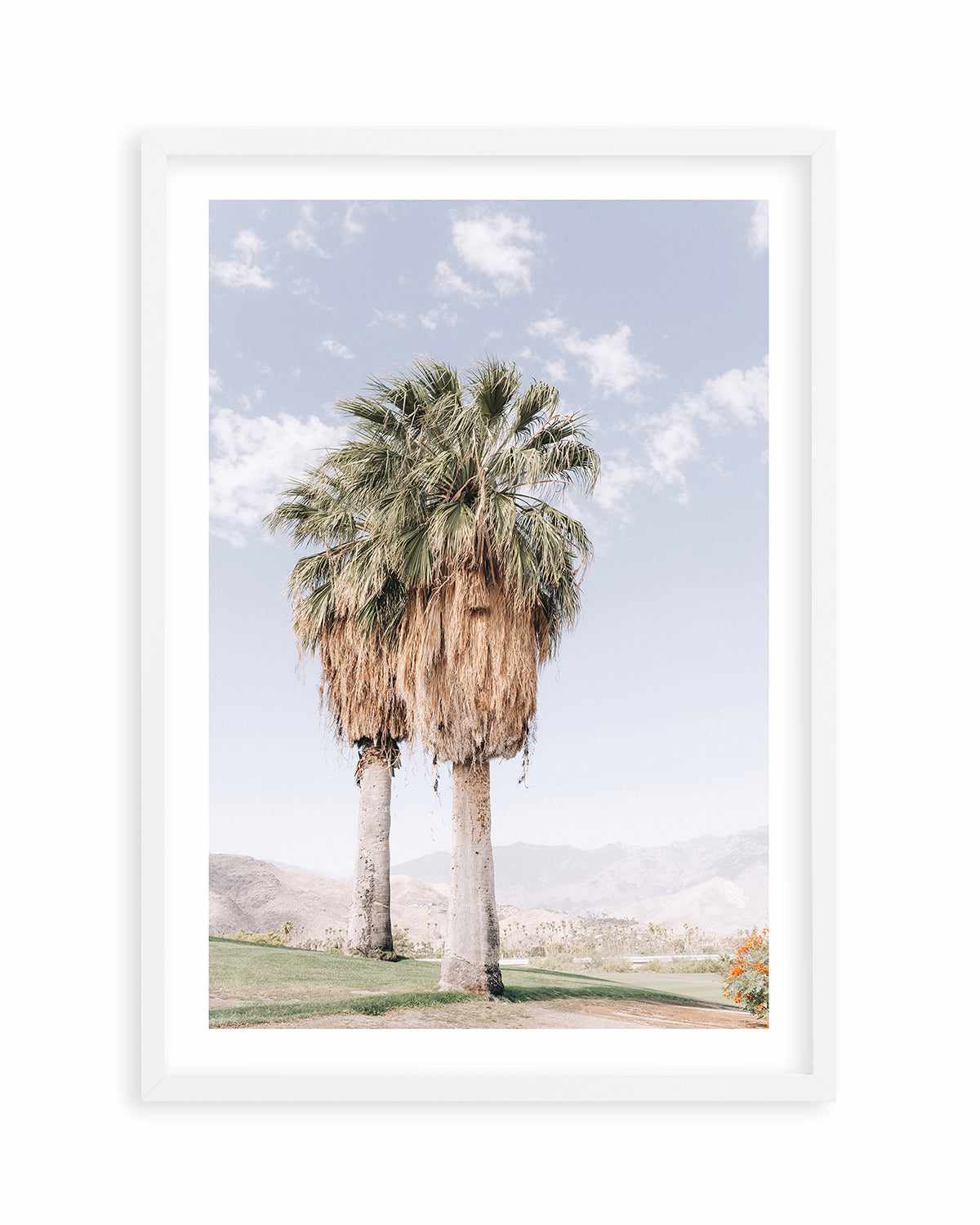 Palms of Palm Springs I Art Print