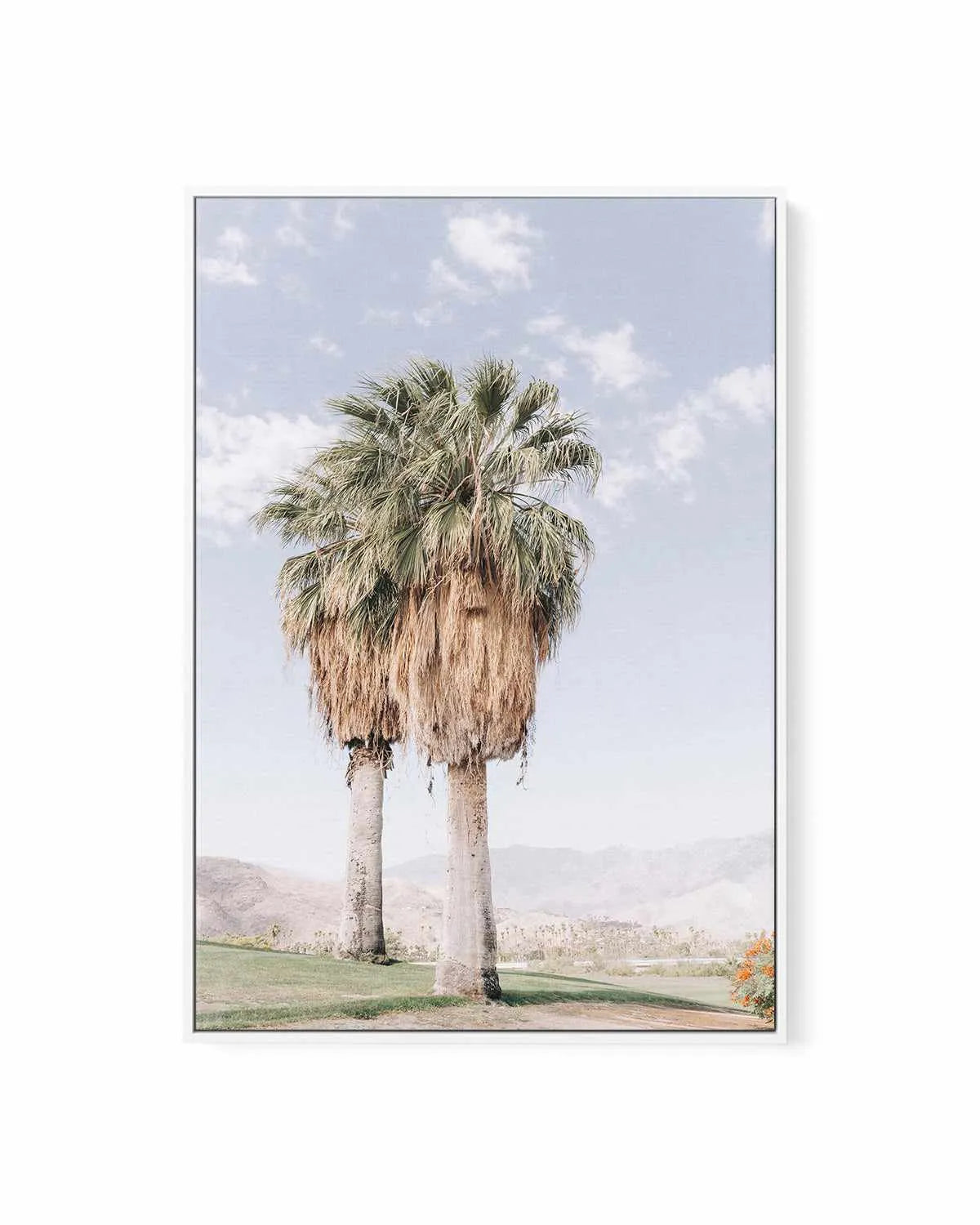 Palms of Palm Springs I | Framed Canvas Art Print from Olive et Oriel where you can shop wallpaper and artworks online