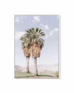 Palms of Palm Springs I | Framed Canvas Art Print
