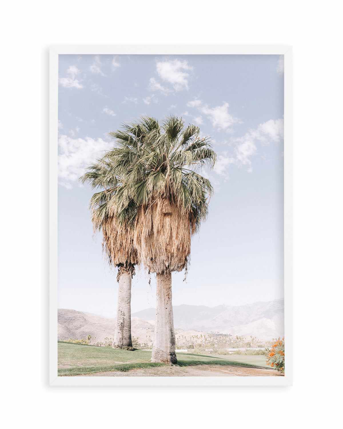 Palms of Palm Springs I Art Print