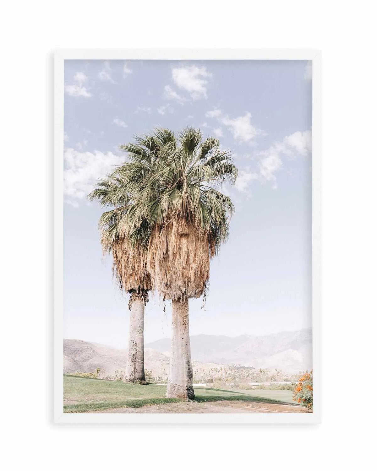 Palms of Palm Springs I Art Print from Olive et Oriel where you can shop wallpaper and artworks online