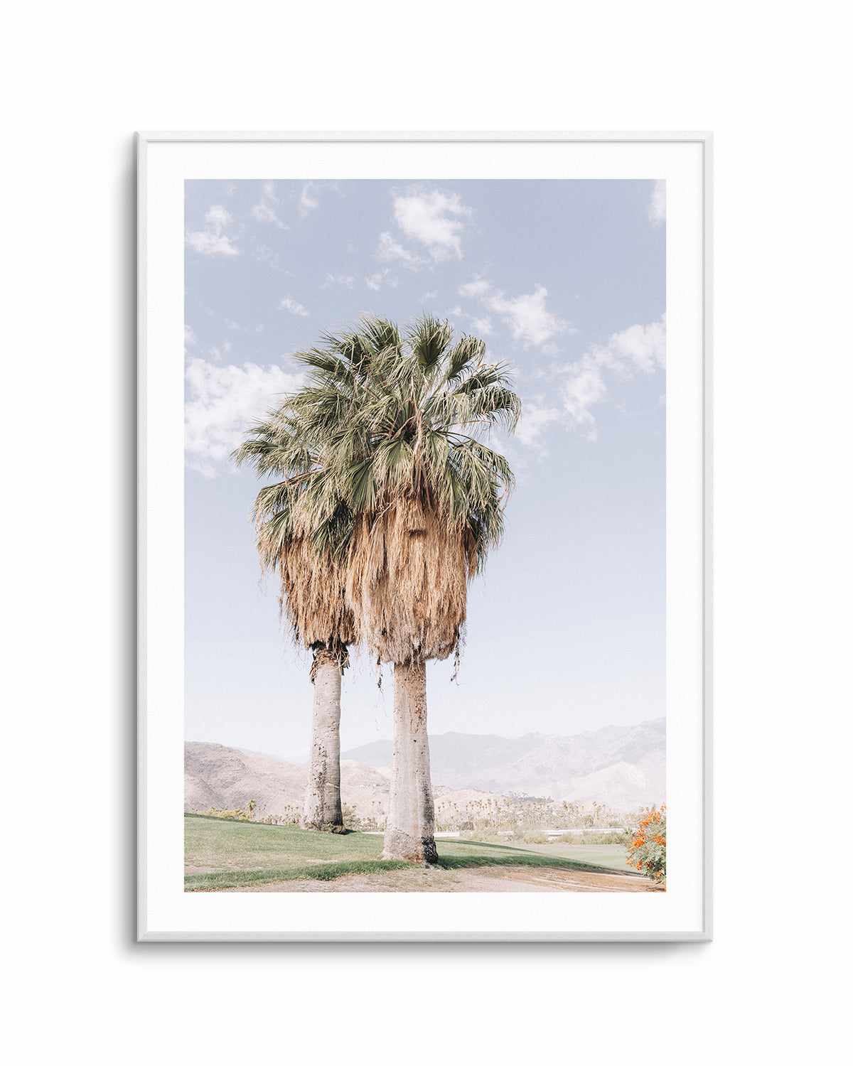 Palms of Palm Springs I Art Print