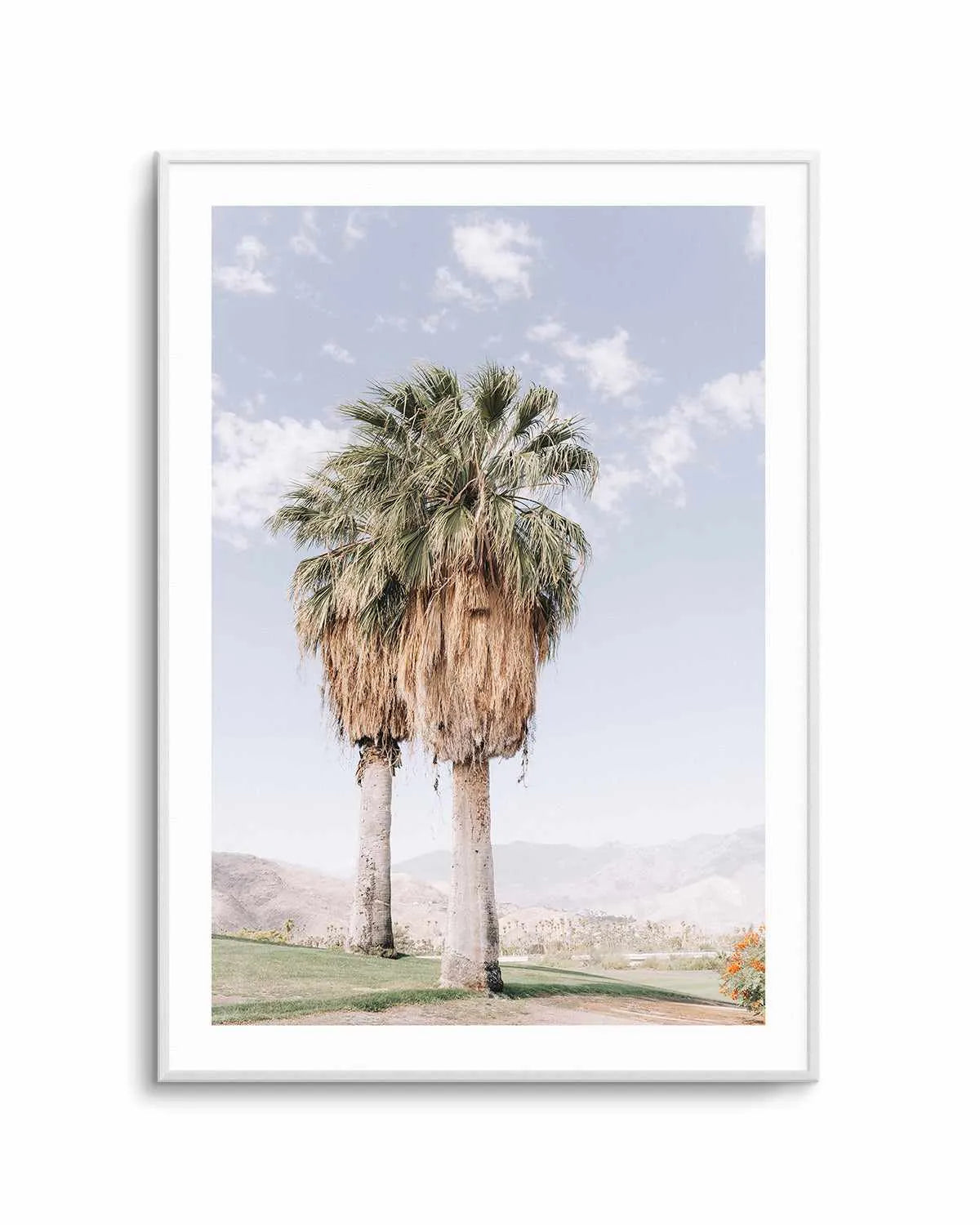 Palms of Palm Springs I Art Print from Olive et Oriel where you can shop wallpaper and artworks online