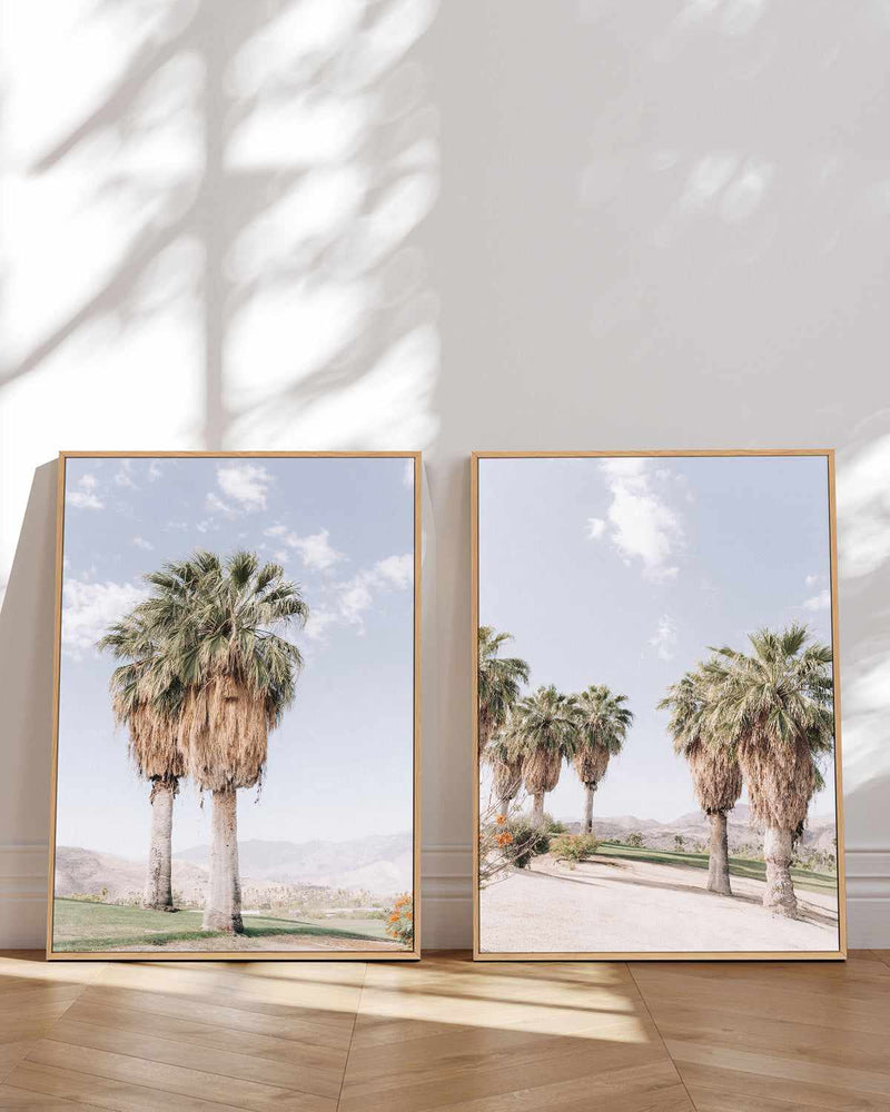 Palms of Palm Springs II | Framed Canvas Art Print