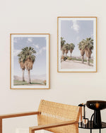 Palms of Palm Springs I Art Print