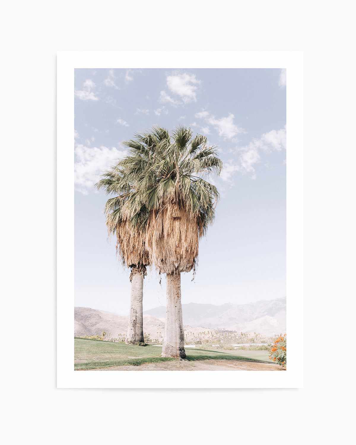 Palms of Palm Springs I Art Print