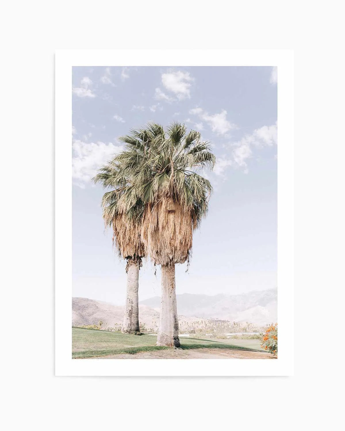 Palms of Palm Springs I Art Print from Olive et Oriel where you can shop wallpaper and artworks online