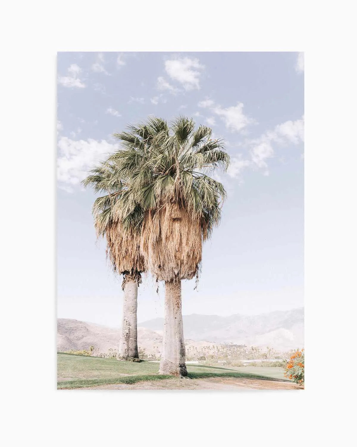 Palms of Palm Springs I Art Print from Olive et Oriel where you can shop wallpaper and artworks online