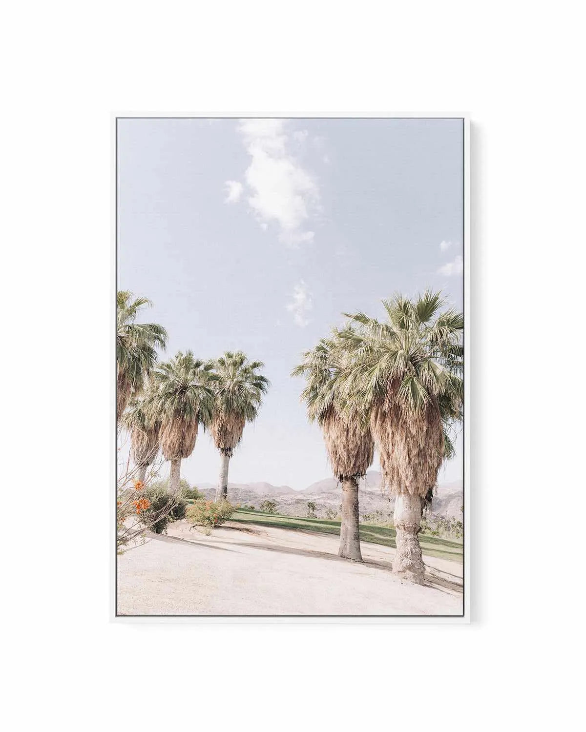 Palms of Palm Springs II | Framed Canvas Art Print from Olive et Oriel where you can shop wallpaper and artworks online