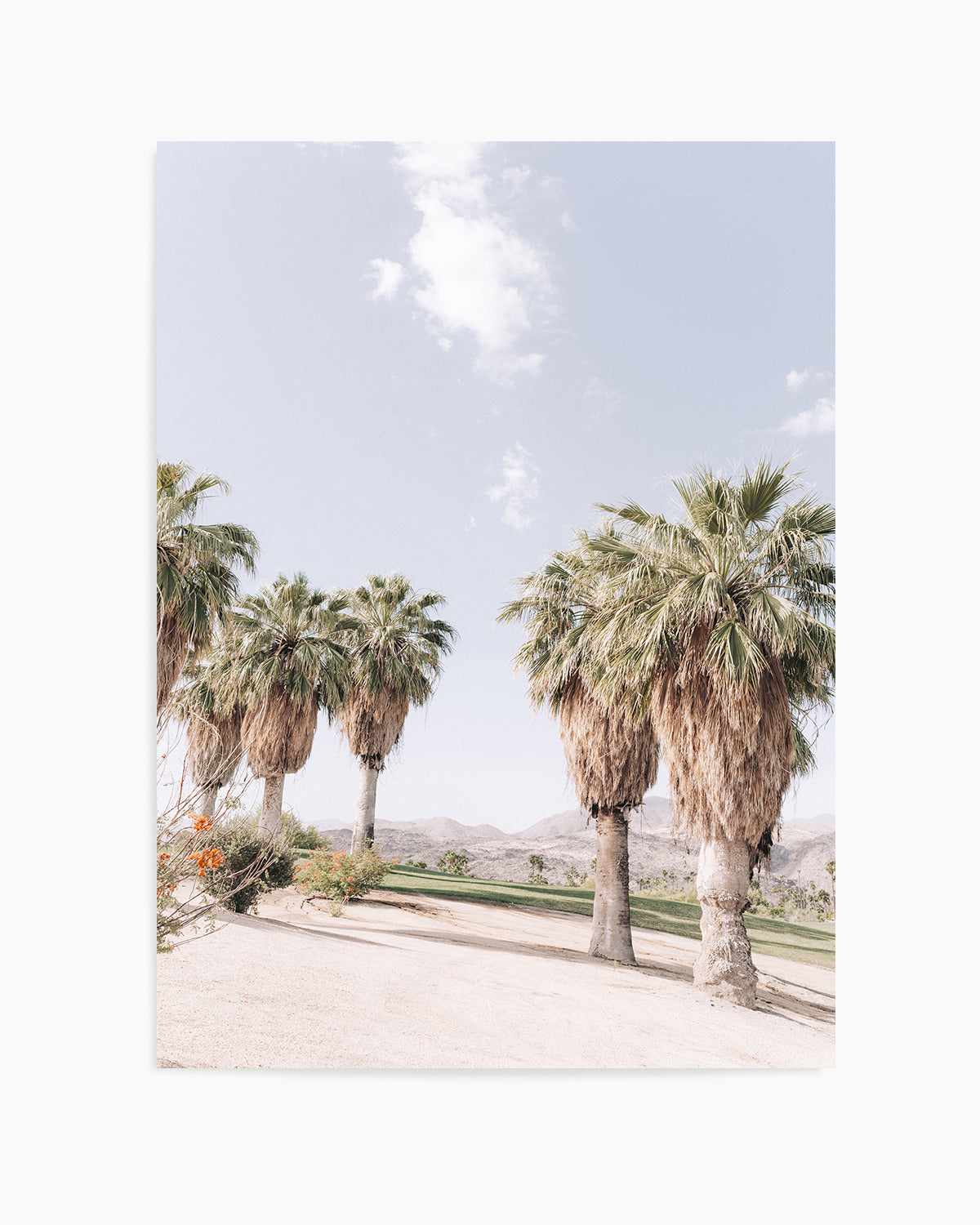 Palms of Palm Springs II Art Print