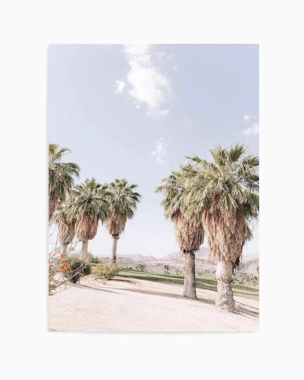 Palms of Palm Springs II Art Print from Olive et Oriel where you can shop wallpaper and artworks online