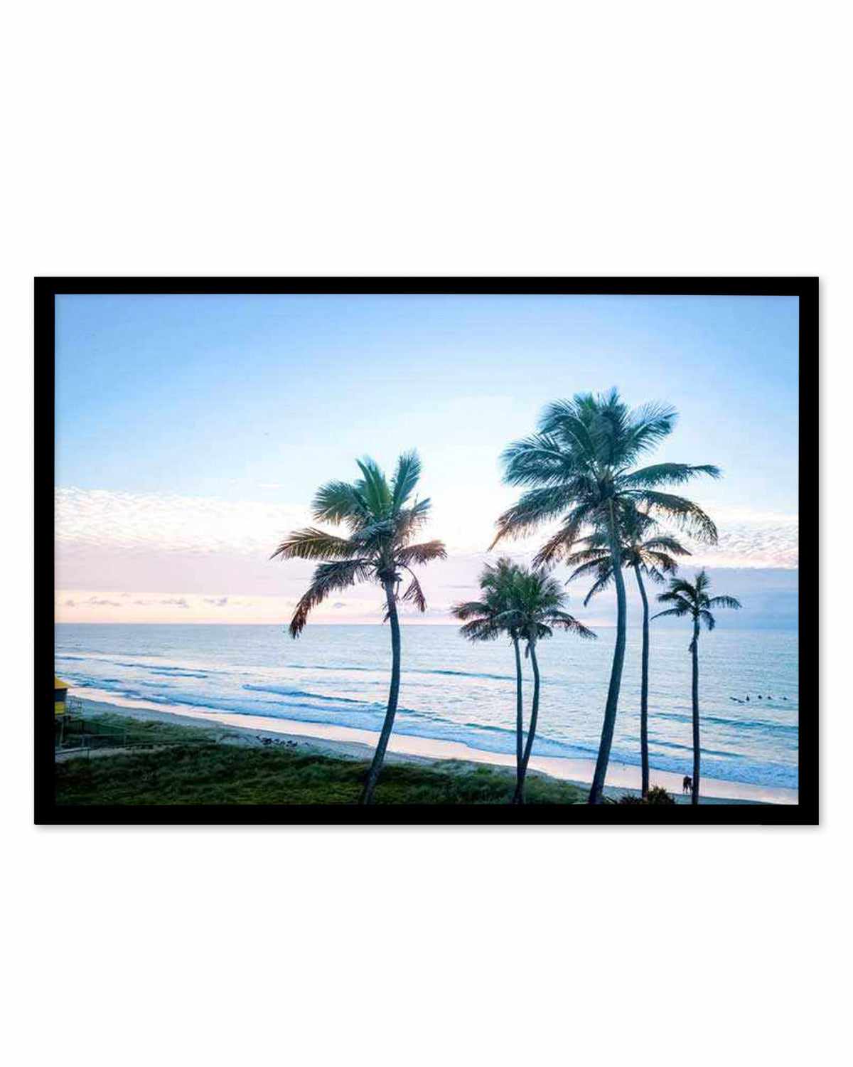 Palms of Surfers Paradise Art Print