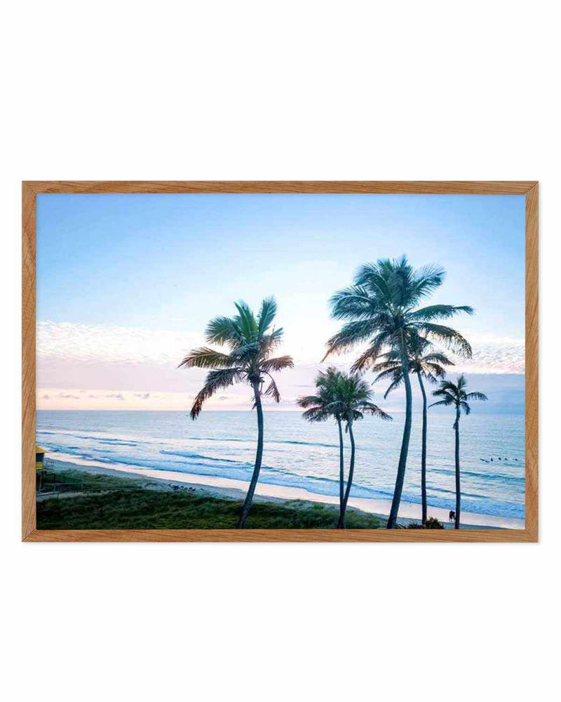 Palms of Surfers Paradise Art Print