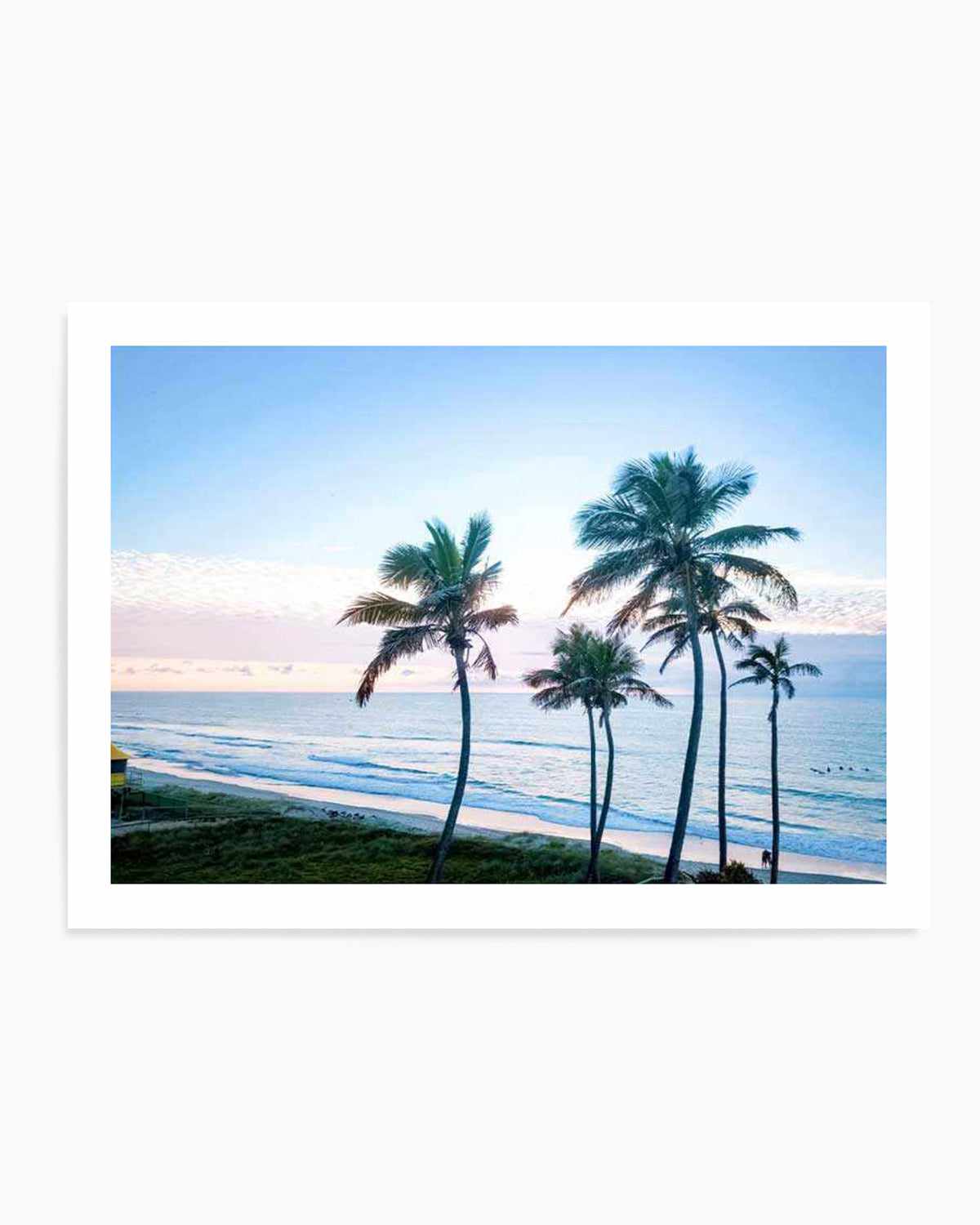 Palms of Surfers Paradise Art Print