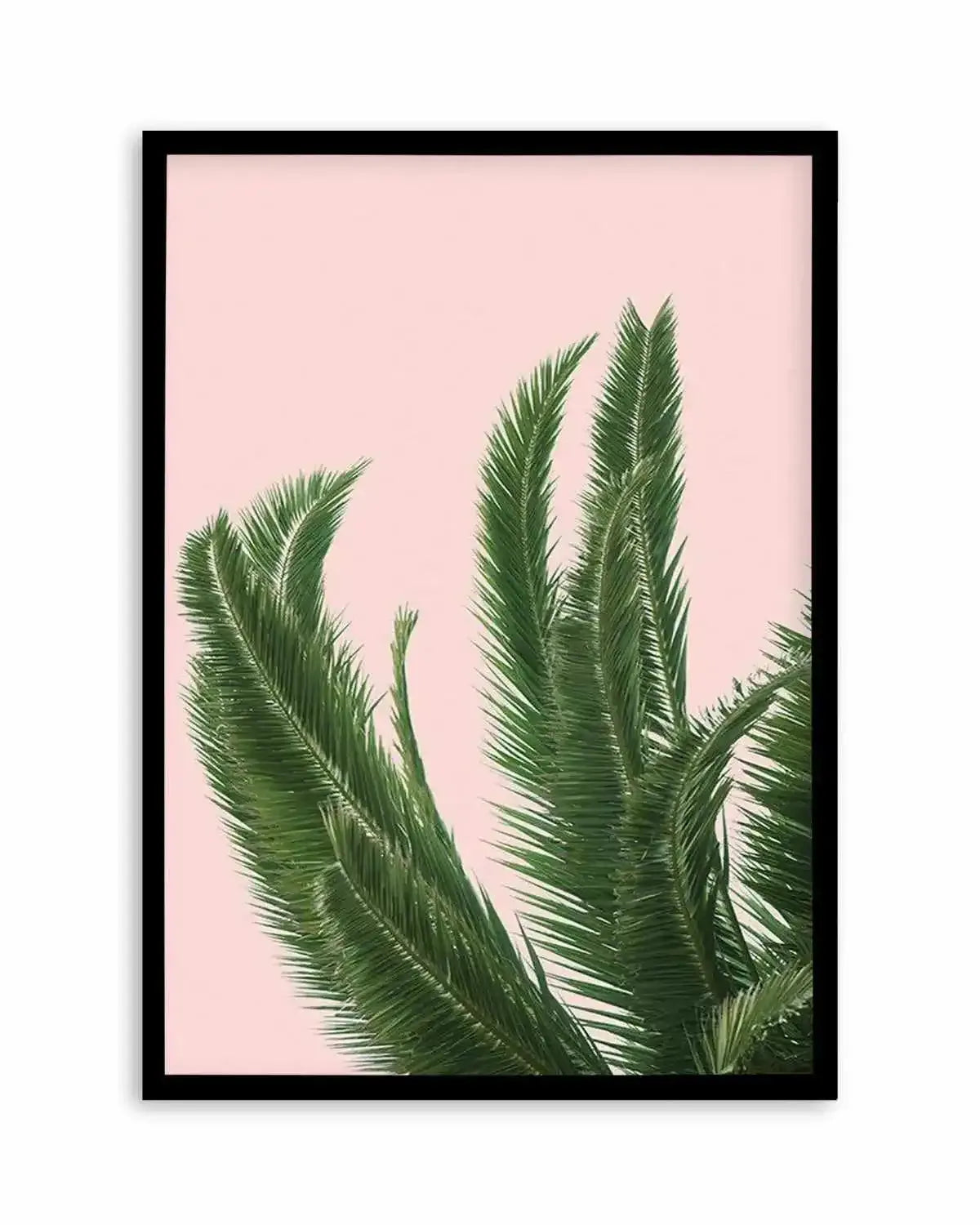 Palms on Pink Art Print from Olive et Oriel where you can shop wallpaper and artworks online