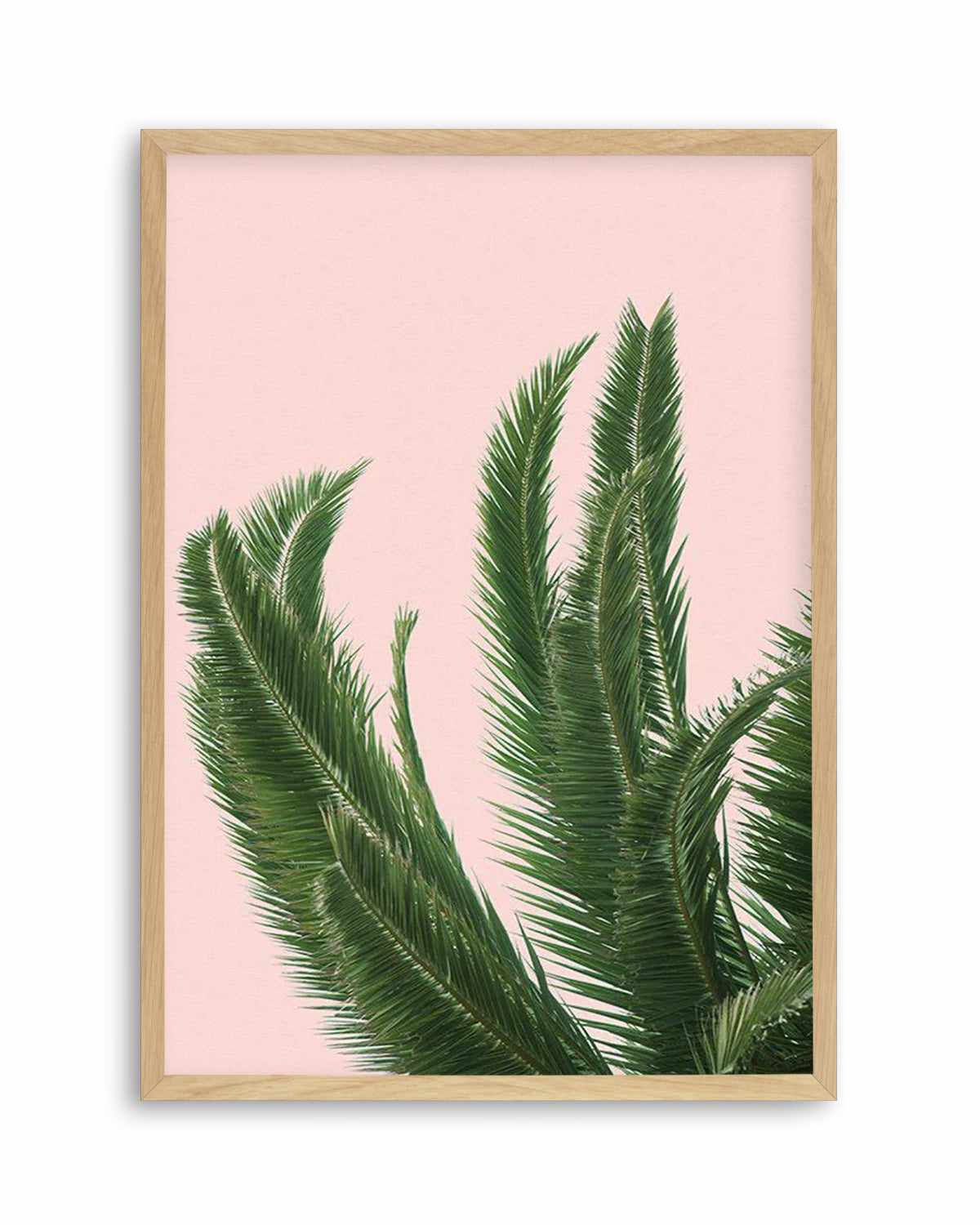 Palms on Pink   Art Print