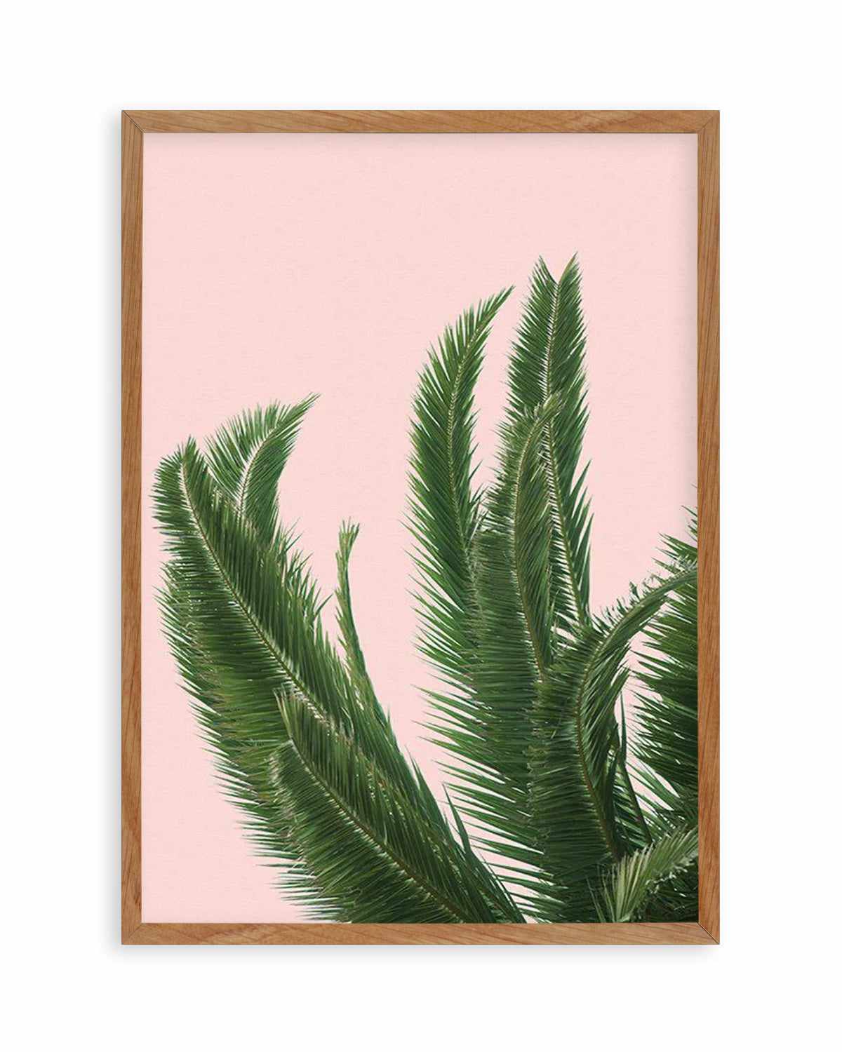 Palms on Pink   Art Print